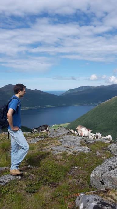 Villa Rekdal Vestnes Esterno foto